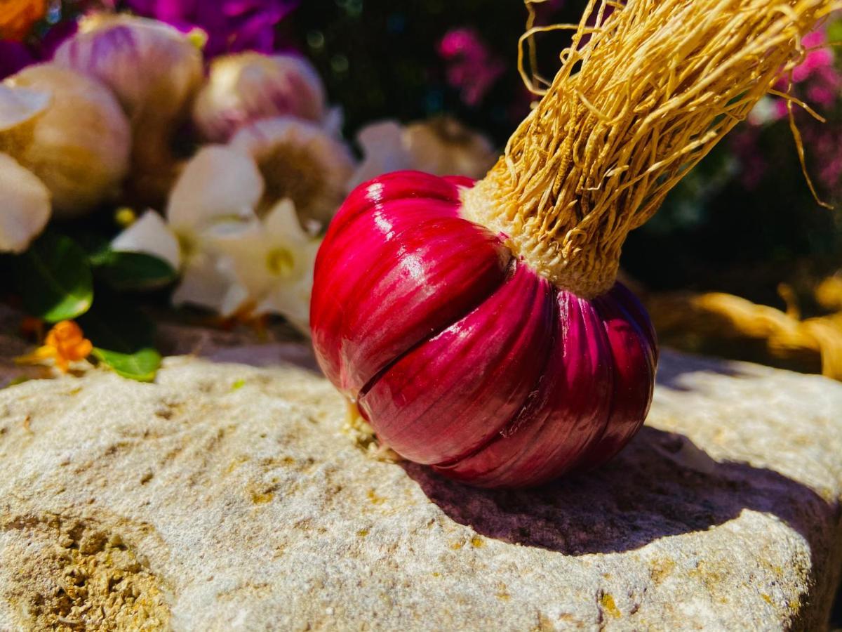 トラーパニ Casa Artesanoヴィラ エクステリア 写真